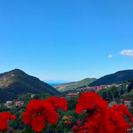 Camera Tra Le Cinque Terre, Camogli E Portofino. Vista Valle E Scorcio Mare All'Orizzonte Castiglione Chiavarese Экстерьер фото