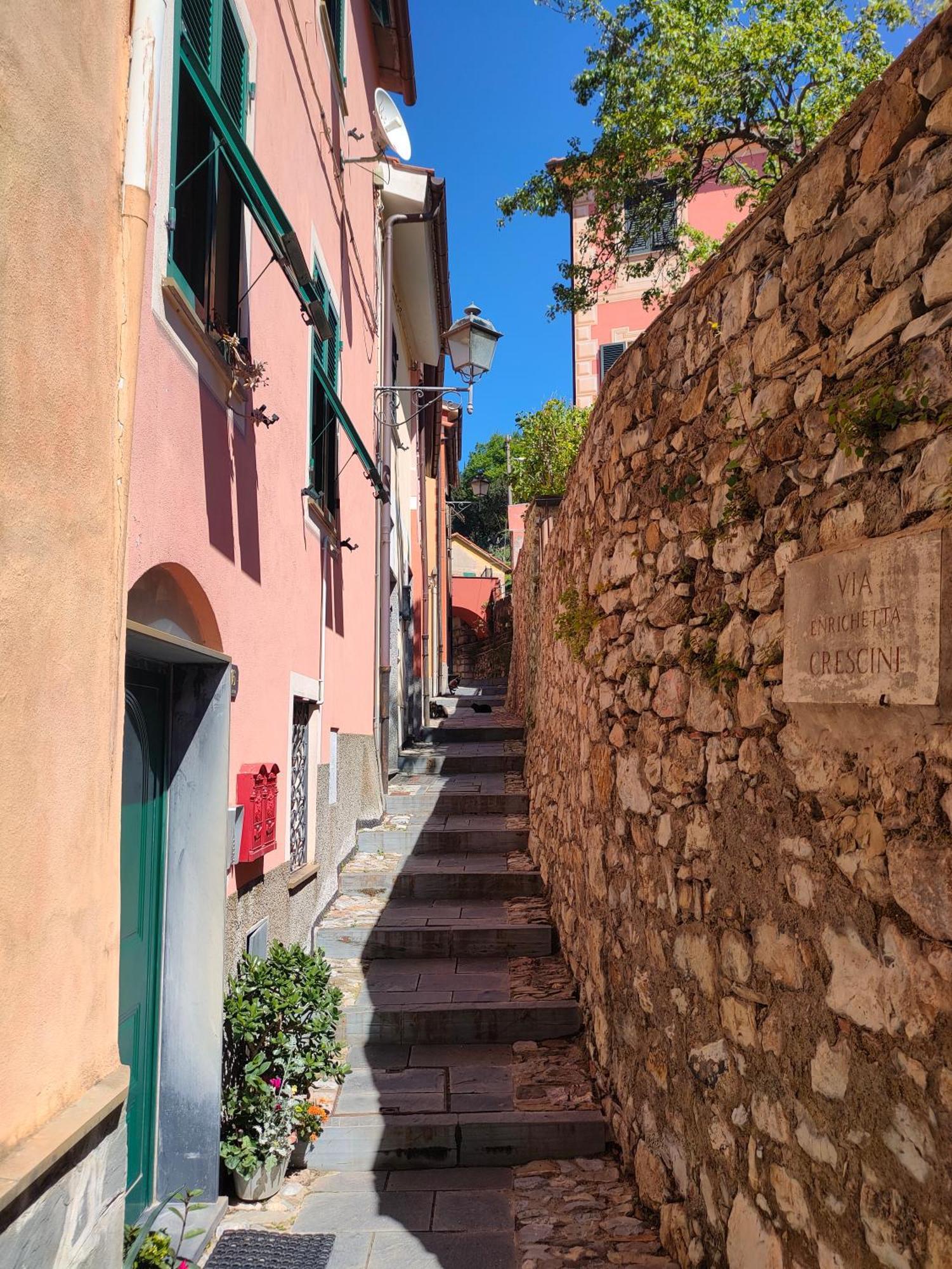 Camera Tra Le Cinque Terre, Camogli E Portofino. Vista Valle E Scorcio Mare All'Orizzonte Castiglione Chiavarese Экстерьер фото