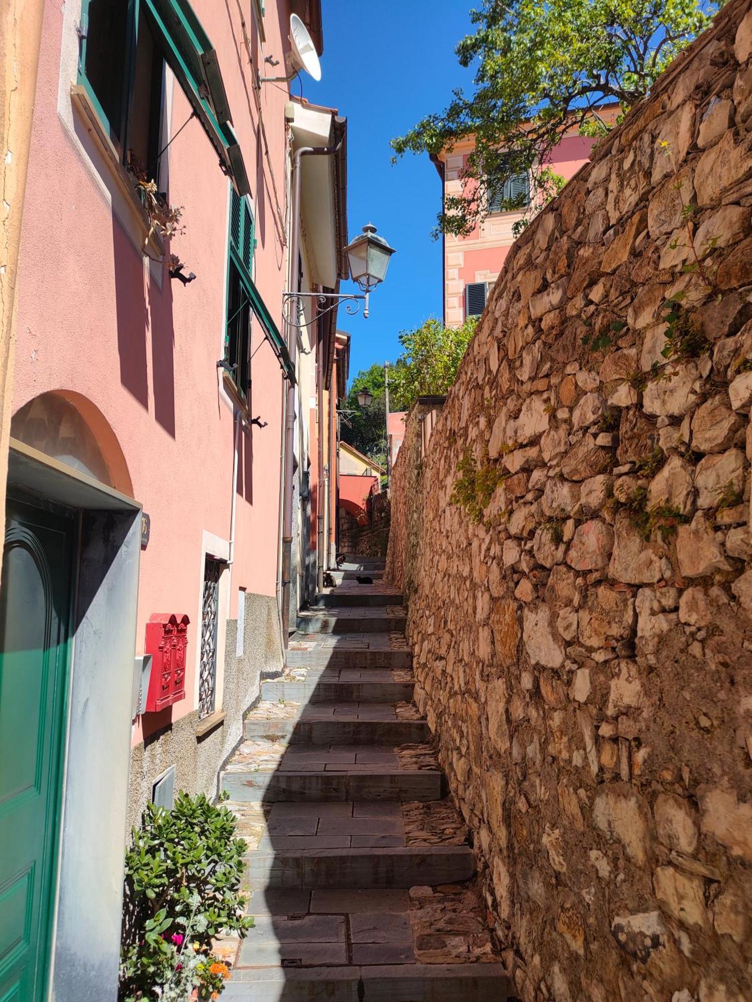 Camera Tra Le Cinque Terre, Camogli E Portofino. Vista Valle E Scorcio Mare All'Orizzonte Castiglione Chiavarese Экстерьер фото